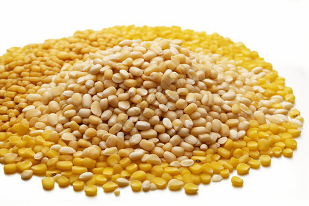 健康谷物與可持續農業 玉米與棉花的協同種植探索